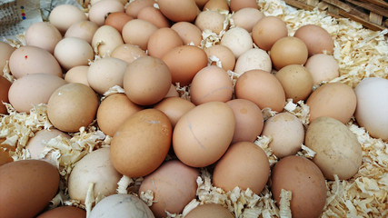 A close-up of the eggs