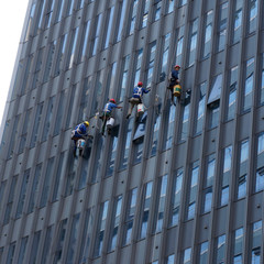 window cleaning