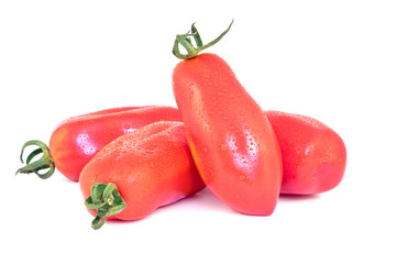 Tomate San Marzano