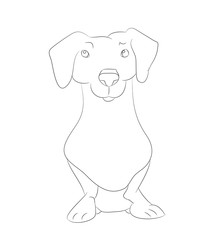Vector illustration of a dachshund that sits, drawing lines