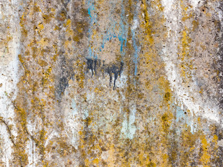 Texture of concrete wall