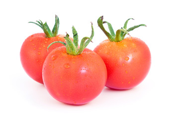 Tomate Tamina