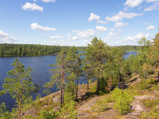 summer landscape on a forest lake