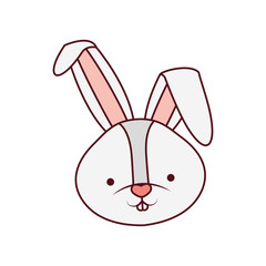 Obraz premium rabbit head isolated icon