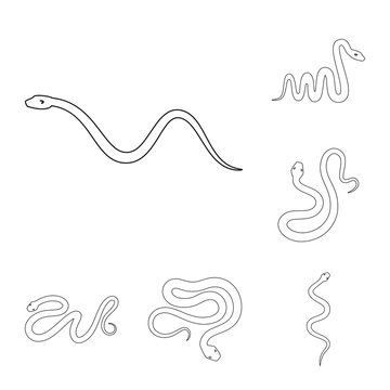 Vector design of poison and evil logo. Set of poison and bite vector icon for stock.