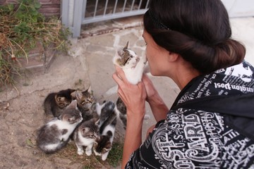 Street homeless cat. Human care.