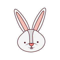 rabbit head isolated icon