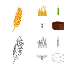 Vector design of agriculture and farming icon. Collection of agriculture and plant  stock vector illustration.