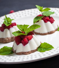 Curd-chocolate dessert without sugar with fresh raspberries and mint. Healthy eating. The concept of a healthy diet.