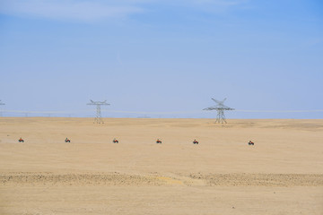     Safari trip through egyptian desert driving ATV. Quad bikes safari in the desert near Hurghada,...