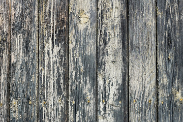 Blank old cracked grey wooden background with cracked paint