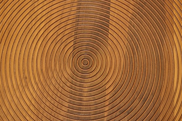 Fototapeta na wymiar Circle wooden pattern background