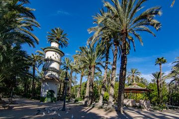 The Palmeral of Elche, Spain