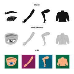 Isolated object of body and part symbol. Collection of body and anatomy vector icon for stock.