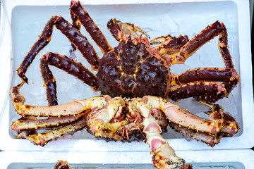 King crab on ice basket in fresh market, the crab in brown color big crab, one king crab overturn on ice basket and both sold in the fresh market in Hakodate Hokkaido ,Japan.