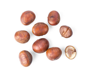 Chestnut Seed Isolated on White Background