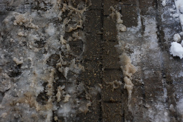Dirty view of old snow and brick path.