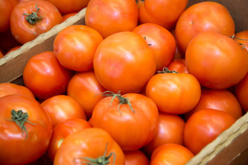 Ripe tomatoes at the market