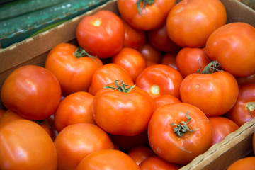 Ripe tomatoes at the market