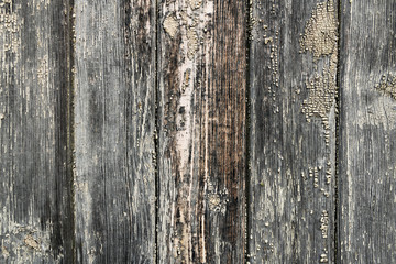 Old wooden background of boards with cracked paint