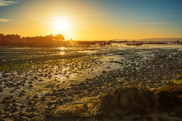 Fototapeta na wymiar Low tide on the coast at sunset