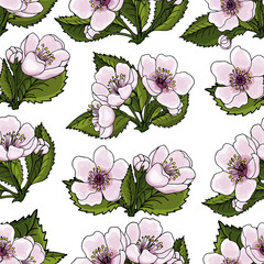 Seamless pattern of spring flowers of pink cherry, sakura on a transparent background. The idea for the design of cards, invitations, packaging, wallpaper, background, print. Vector  EPS 10.