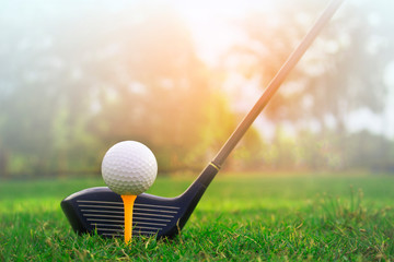 Golf clubs and golf balls on a green lawn