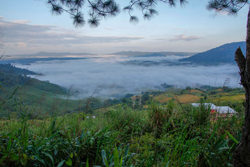 Sea of fog in Khao Kho at thailand
