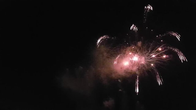 Fireworks going off in the night sky.