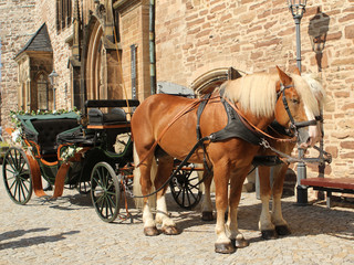 Naklejka na ściany i meble Two horses harnessed to a cart