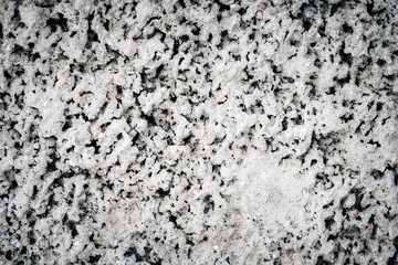 texture of old plaster