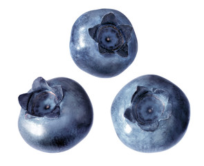 Drei Blaubeeren
