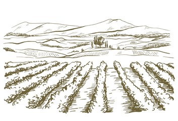 drawing of the landscape of the Italian province of Tuscany - 249338118