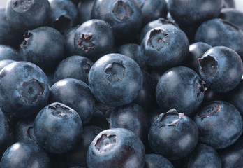 Frische Blaubeeren