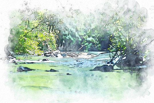 Abstract colorful river lake and tree in the forest on watercolor illustration painting background.
