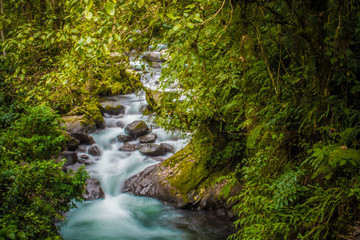 Obraz premium Magiczny wodospad w lesie