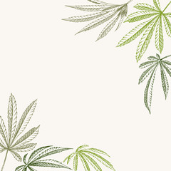 Vector outline corner background of hemp plant on a beige square cannabis texture