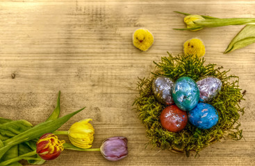 Ostereier im Mossnest