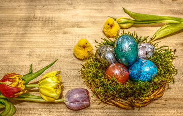 Ostereier - im Mossnest