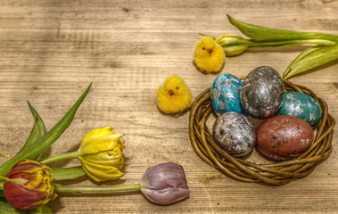 Oster - Tulpen und Deko-Kücken