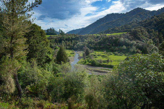 Te Urewera National Park. New Zealand. Forest. Hills