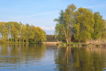 Obraz premium lake in forest