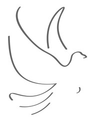 outline of a dove