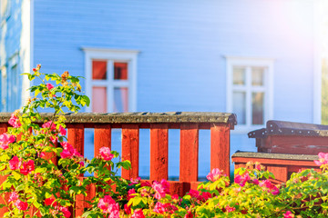 fence near the house and red roses with sunny hotspot
