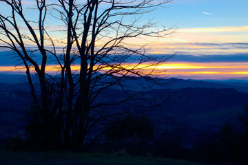 Naklejka premium sunset from 