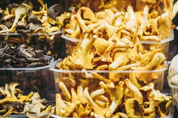 Champignons frais, marché St Josep La Boqueria de Barcelone