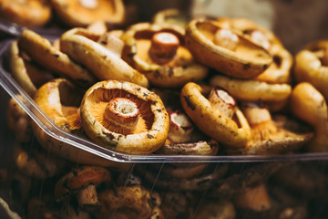 Champignons frais, marché St Josep La Boqueria de Barcelone