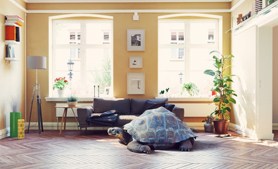 giant turtle in the living room.