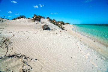 white sand on the beach of turquoise bay, cape range, western australia 17