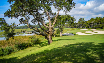 Fototapeta na wymiar South Carolina Golf Course